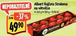 Albert Albert Rajčata Strabena na větvičce nabídka
