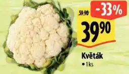 Albert Květák nabídka