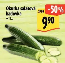 Albert Okurka salátová hadovka nabídka