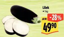 Albert Lilek nabídka