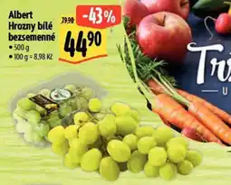 Albert Albert Hrozny bílé bezsemenné nabídka