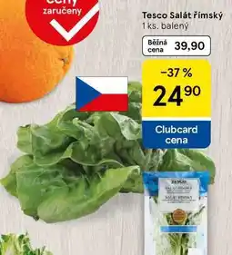 Tesco Tesco Salát římský, 1 ks, balený nabídka