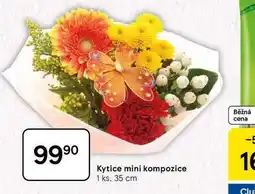 Tesco Kytice mini kompozice, 1 ks, 35 cm nabídka
