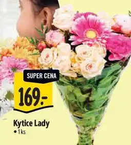Albert Kytice Lady 1ks nabídka
