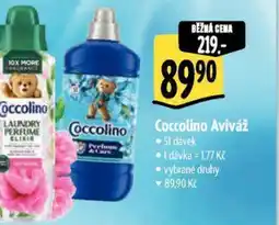 Albert Coccolino Aviváž nabídka
