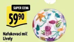 Albert Nafukovací míč Lively nabídka