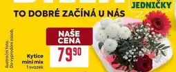 Billa Kytice mini mix 1 svazek nabídka
