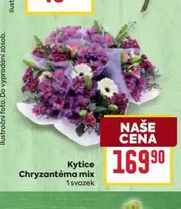 Billa Kytice Chryzantéma mix 1 svazek nabídka