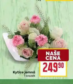 Billa Kytice jemná 1 svazek nabídka