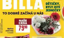 Billa Kytice mini mix nabídka