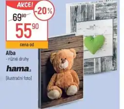 Globus Alba nabídka