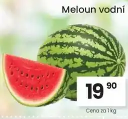Kubík potraviny Meloun vodní nabídka