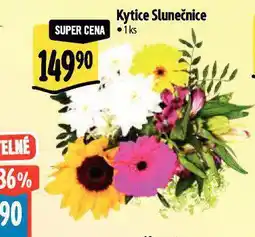 Albert Kytice slunečnice nabídka