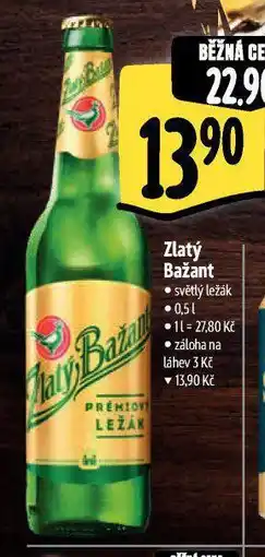 Albert Pivo zlatý bažant nabídka