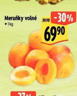 Albert Meruňky volné nabídka