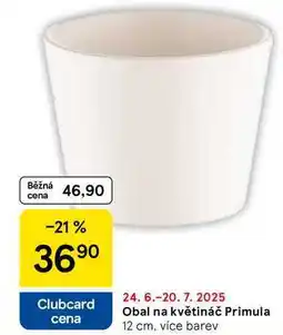 Tesco Obal na květináč Primula 12 cm, více barev nabídka