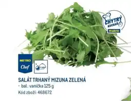 Makro SALÁT TRHANÝ MIZUNA ZELENÁ nabídka