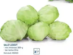 Makro SALÁT LEDOVÝ nabídka