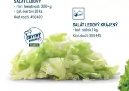Makro SALÁT LEDOVÝ KRÁJENÝ nabídka