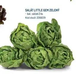 Makro SALÁT LITTLE GEM ZELENÝ nabídka