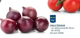 Makro CIBULE ČERVENÁ nabídka