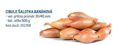 Makro CIBULE ŠALOTKA BANÁNOVÁ nabídka
