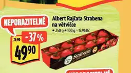Albert Rajčata strabena na větvičce nabídka