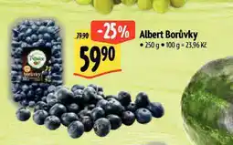 Albert Borůvky nabídka
