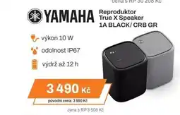 Expert YAMAHA Reproduktor True X Speaker 1A BLACK/CRB GR nabídka