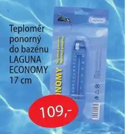 Teploměr ponorný do bazénu LAGUNA ECONOMY