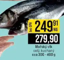 Jip Mořský vlk celý, kuchaný nabídka