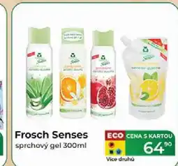 Tamda Foods Frosch Senses sprchový gel 300ml nabídka