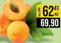 Jip Meruňka nabídka