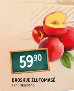 Terno Broskve žlutomasé 1kg nabídka