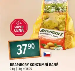 Terno Brambory konzumní rané 2 kg nabídka