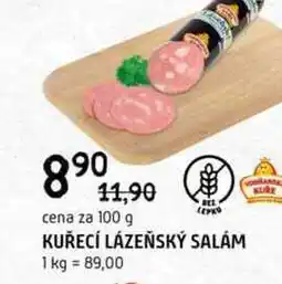 Terno Kuřecí lázeňský salám 100g nabídka