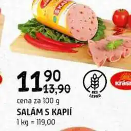 Terno Salám s kaplí 100g nabídka