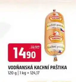 Terno Vodňanská Kachní paštika 120g nabídka