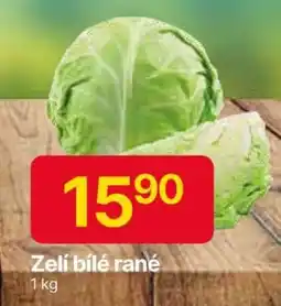 Zelí bílé rané