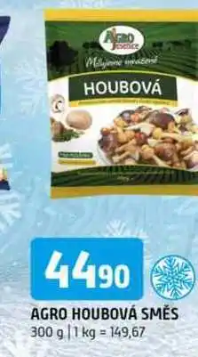 Terno Agro houbová směs 300 g nabídka