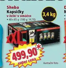 Norma Sheba kapsičky pro kočky nabídka