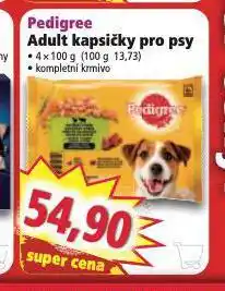 Norma Pedigree kapsičky pro psy nabídka