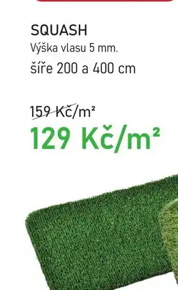 Vesna SQUASH nabídka