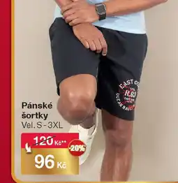 Woolworth Pánské šortky Vel. S-3XL nabídka