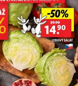 Lidl Ledový salát nabídka