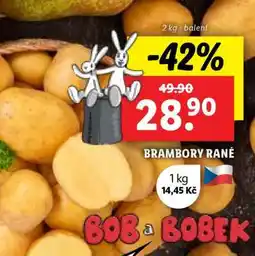 Lidl Brambory rané nabídka
