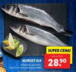Lidl Mořský vlk nabídka
