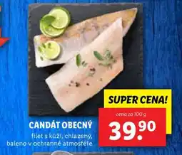 Lidl Candát obecný nabídka
