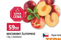 Terno Nektarinky žlutomasé nabídka