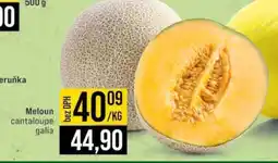 Jip Meloun cantaloupe galia nabídka